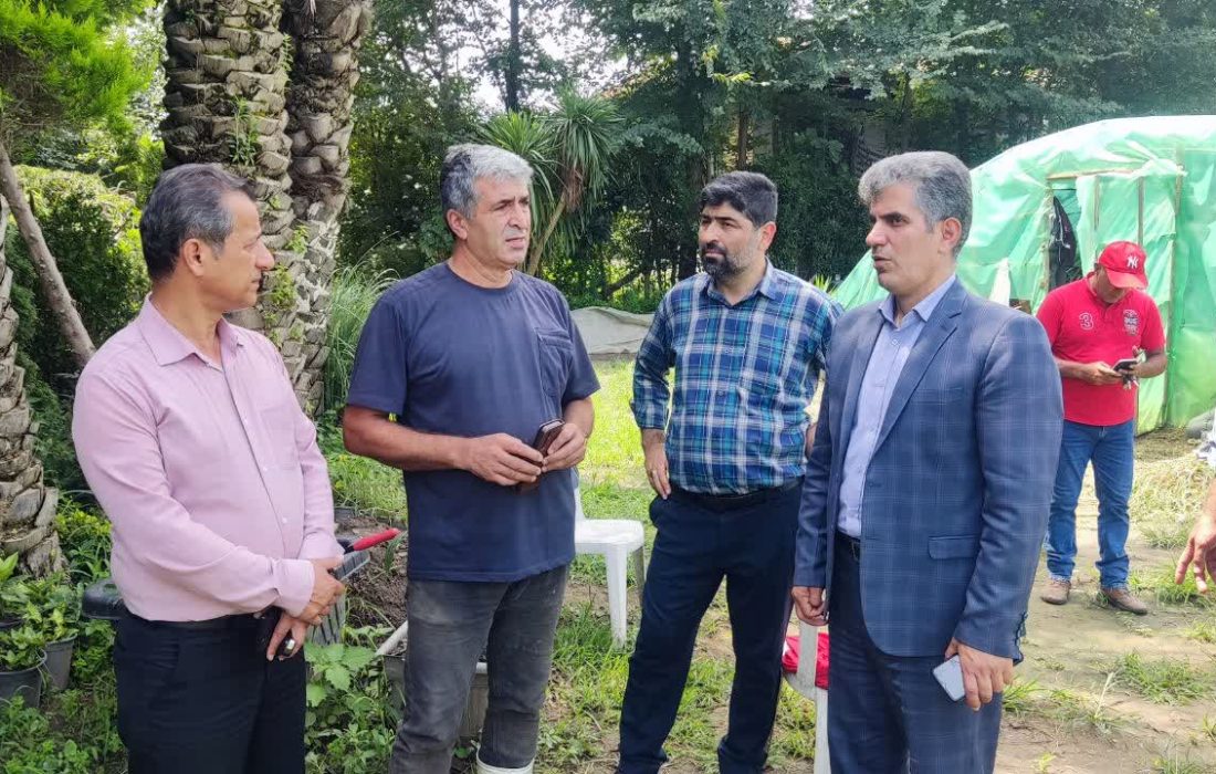 رئیس سازمان جهاد کشاورزی گیلان خبر داد: رتبه سوم گیلان در توسعه گلخانه ها