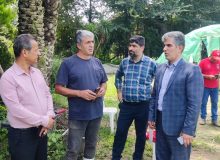 رئیس سازمان جهاد کشاورزی گیلان خبر داد: رتبه سوم گیلان در توسعه گلخانه ها