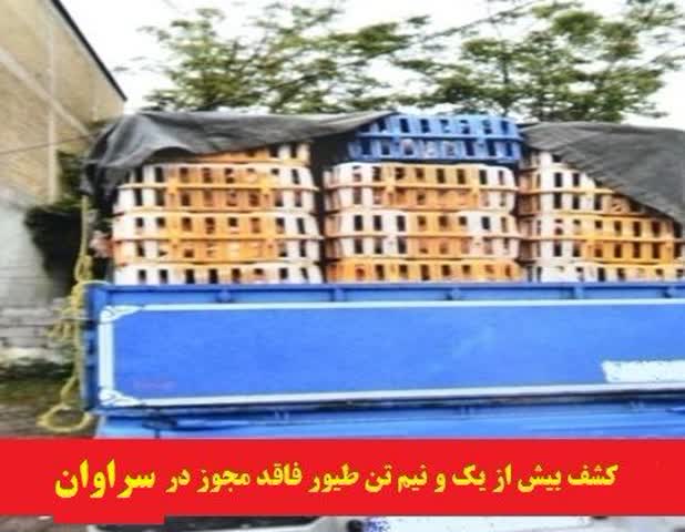 کشف بيش از يک و نيم تن طيور غير بهداشتي در رشت