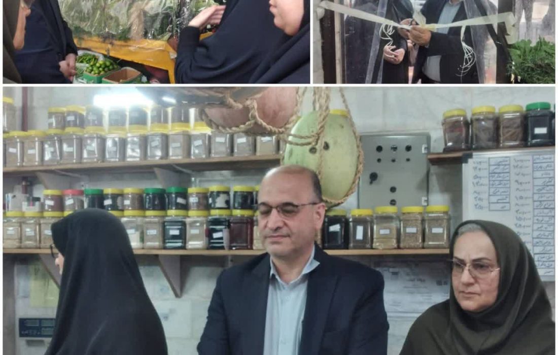 به مناسبت گرامیداشت هفته دولت؛ افتتاح طرح خوداشتغالی مددجویان بهزیستی در شهرستان لاهیجان