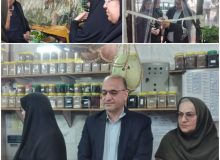 به مناسبت گرامیداشت هفته دولت؛  افتتاح  طرح خوداشتغالی مددجویان بهزیستی در شهرستان لاهیجان