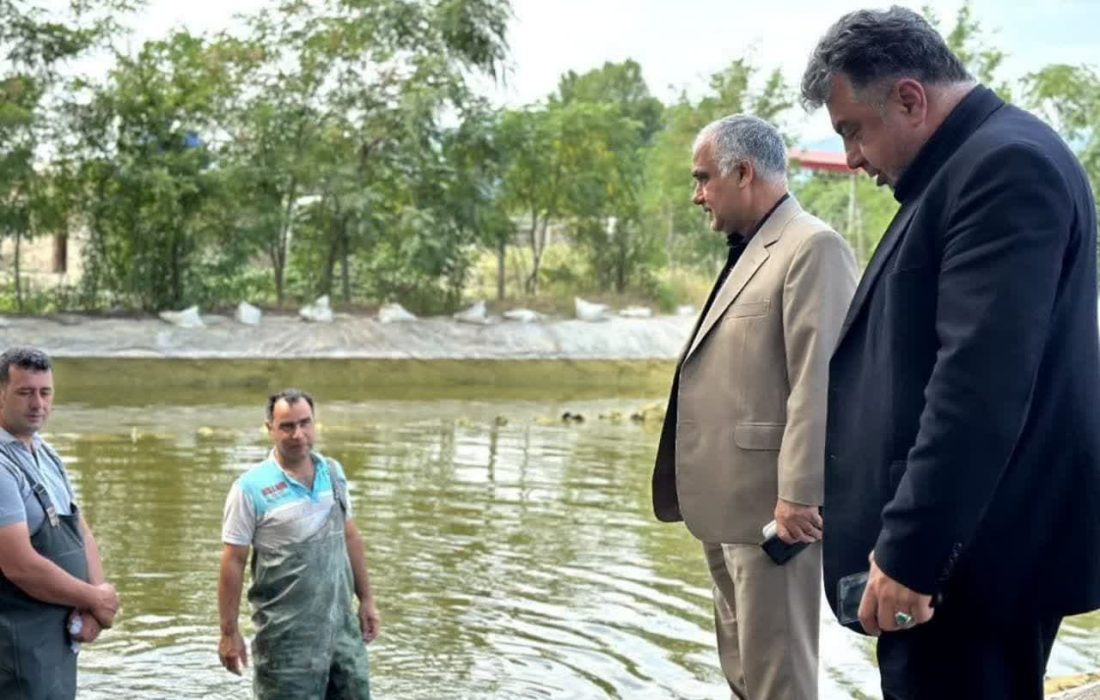 مدیر کل شیلات گیلان :رهاسازی بیش از دومیلیون قطعه بچه ماهی سفید در چوبر