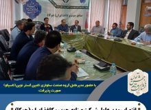 عالی پور مدیرعامل شرکت صنایع چوب و کاغذ ایران(چوکا) شد