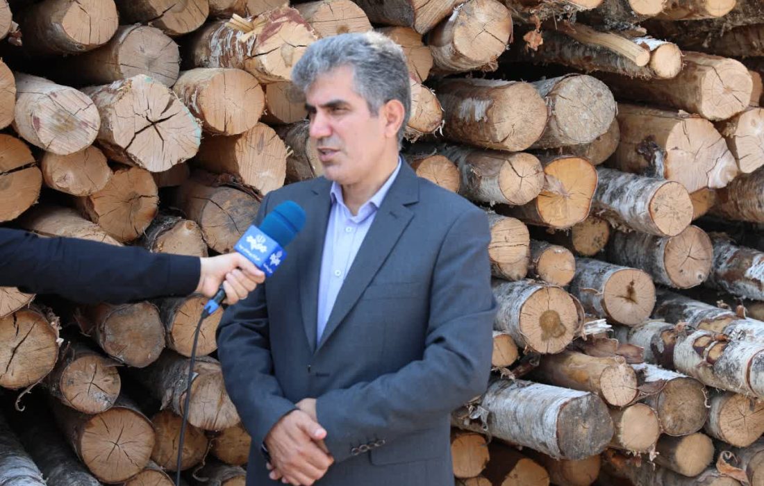 بهمنظور حفاظت و صیانت از جنگل ها و مراتع؛ واردات چوب با پوست برای نخستینبار در منطقه آزاد انزلی