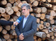 به‌منظور حفاظت و صیانت از جنگل ها و مراتع؛ واردات چوب با پوست برای نخستین‌بار در منطقه آزاد انزلی