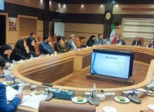 رئیس دانشگاه علوم پزشکی گیلان: ۶۰ درصد بیمارستان‌های دولتی گیلان درجه یک هستند