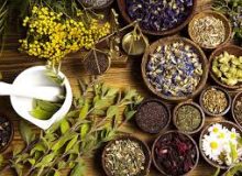 برداشت قریب به ۹ هزار تن انواع گیاه دارویی در گیلان