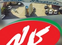 اختصاصی / اتحادیه شرکتهای تعاونی کشاورزی دام داران گیلان از پگاه گیلان و کاله مطالبه دارد / آغاز زنگ خطر فروش دام های مولد گیلان / دولت کمک بکند