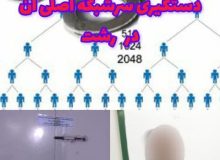 پايان كار شركت هرمي معروف در” رشت “