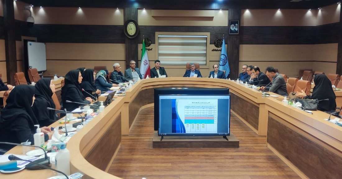 دکتر آشوبی در کمیته دانشگاهی زایمان بی درد مطرح کرد: دانشگاه علوم پزشکی گیلان در تکاپوی تسهیل زایمان بی درد