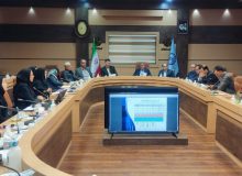 دکتر آشوبی در کمیته دانشگاهی زایمان بی درد مطرح کرد: دانشگاه علوم پزشکی گیلان در تکاپوی تسهیل زایمان بی درد