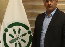 وابستگی گیاه چای بیشتر از هر محصول دیگر به کوددهی