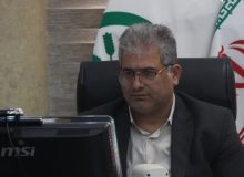 کود آمونیوم فسفات DAP در زیر مجموعه کودهای یارانه ای قرار گرفت