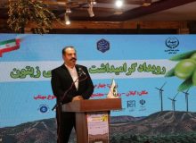 مدیر عامل شرکت حاج صفری و پسران: رودبار از دیر باز مهد زیتون ایران