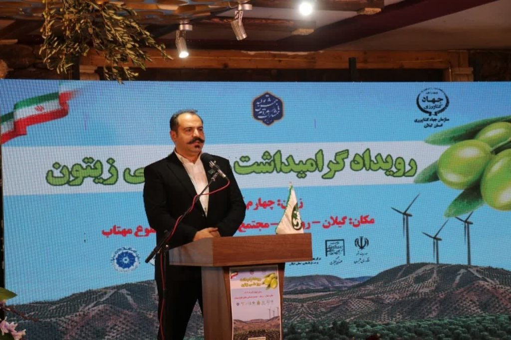 مدیر عامل شرکت حاج صفری و پسران: رودبار از دیر باز مهد زیتون ایران