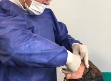 ارائه خدمات رایگان دندانپزشکی در روستای ملکوت شهرستان املش