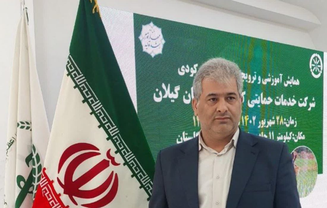 هشدار کمبود فسفر در شالیزارهای استان گیلان به کشاورزان