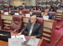 دکتر ملک پور: ‌در آینده نزدیک شاهد تغییر مسیر پارک های علم و فناوری کشور هستیم