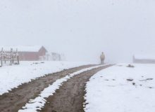 محورهای کوهستانی غرب گیلان برفی است