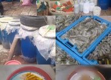 کشف بيش ۳تُـن خيار شور فاسد در رشت