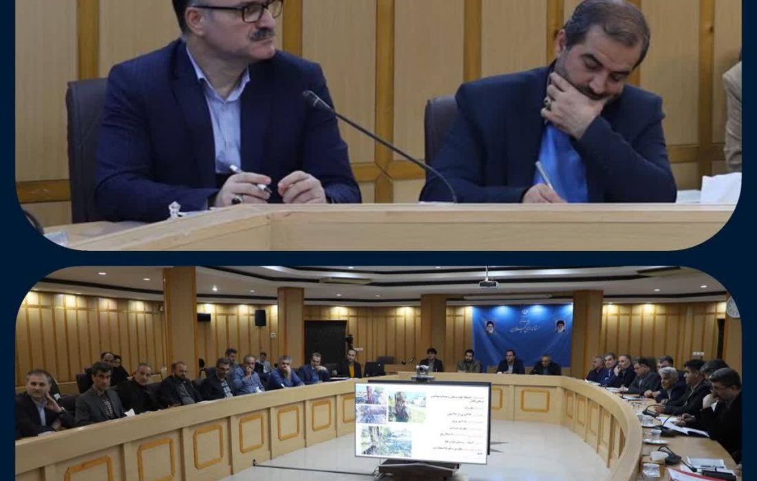 در جلسه کارگروه استانی مولدسازی تائید شد؛ تصویب ۲۱ فقره ملک مازاد در گیلان