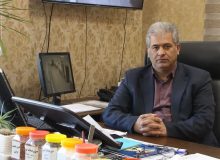 سهمیه کود شیمیایی گیلان امسال ۱۸۰ هزار و ۵۰۰ تن است