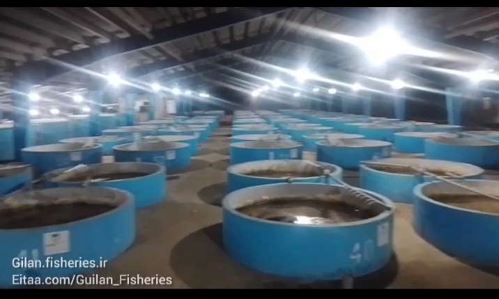 سایت ۴۰ تنی مولدین در سیاهکل، آماده فعالیت شد