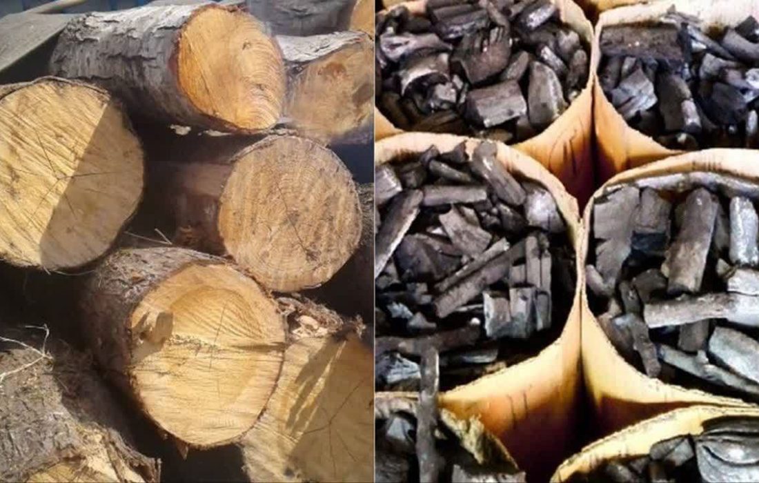 کشف ۱۲ تن چوب جنگلي قاچاق در شهرستان آستارا