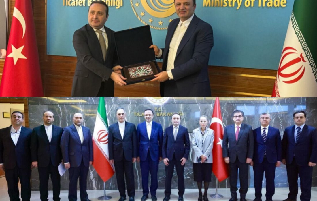 تأکید بر گسترش همکاری ایران و ترکیه در بخش مناطق آزاد/ رضا مسرور با مصطفی توزكو معاون وزیر تجارت و خانم امل رئیس مناطق آزاد كشور تركیه دیدار و گفتگو كرد