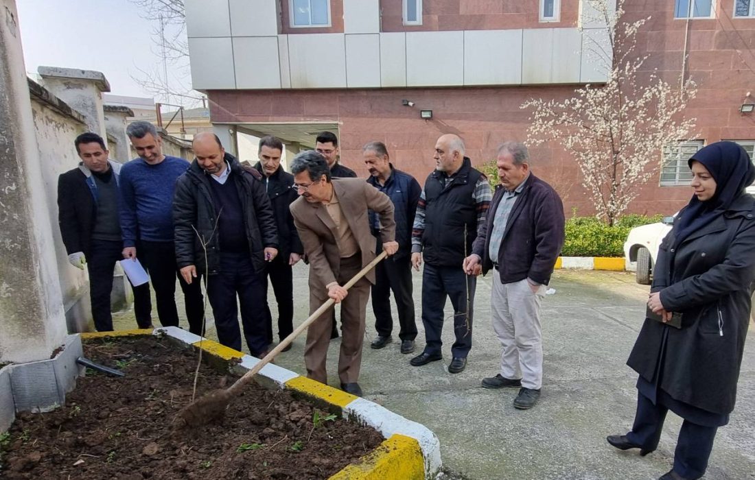 به مناسبت ۱۵ اسفند در معاونت غذا و دارو گیلان به انجام رسید کاشت نهال به نام اهدا کننده اعضا در روز درختکاری