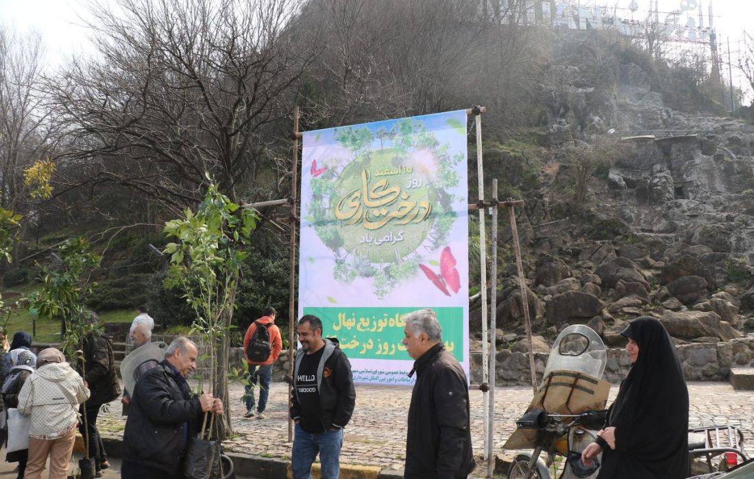 آیین روز درخت کاری مدیریت شهری لاهیجان برگزار شد