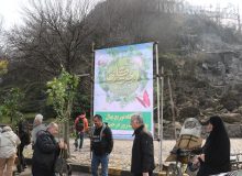 آیین روز درخت کاری مدیریت شهری لاهیجان برگزار شد