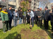 با حضور رئیس،اعضای شورای اسلامی و شهردار رشت؛  کاشت ۴۱ اصله درخت در بلوار لاکانی رشت به مناسبت روز درختکاری