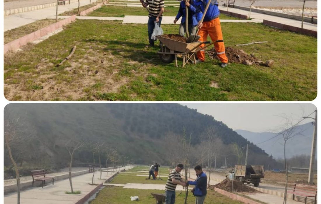 کاشت ۲۰۰ اصله نهال (درخت ) در پارک ساحلی توتکابن