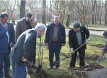 مشارکت همگانی، کلید توسعه فضای سبز در گیلان