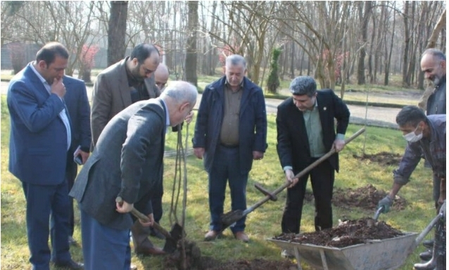 مشارکت همگانی، کلید توسعه فضای سبز در گیلان