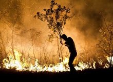 حریق سطحی بیش از ۱۰۰ نقطه جنگلی گیلان توسط گردشگران