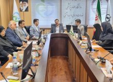 معاون غذا و دارو دانشگاه در نشست خبری به مناسبت هفته سلامت؛ قاچاق کالاهای سلامت‌محور یکی از موانع سرمایه‌گذاری برای تولید است