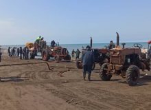 شیلات گیلان و برخورد قاطع با صید غیرمجاز