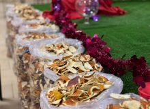 شهرداری خشکبیجار پیشتاز اجرای طرح خشکاله در استان