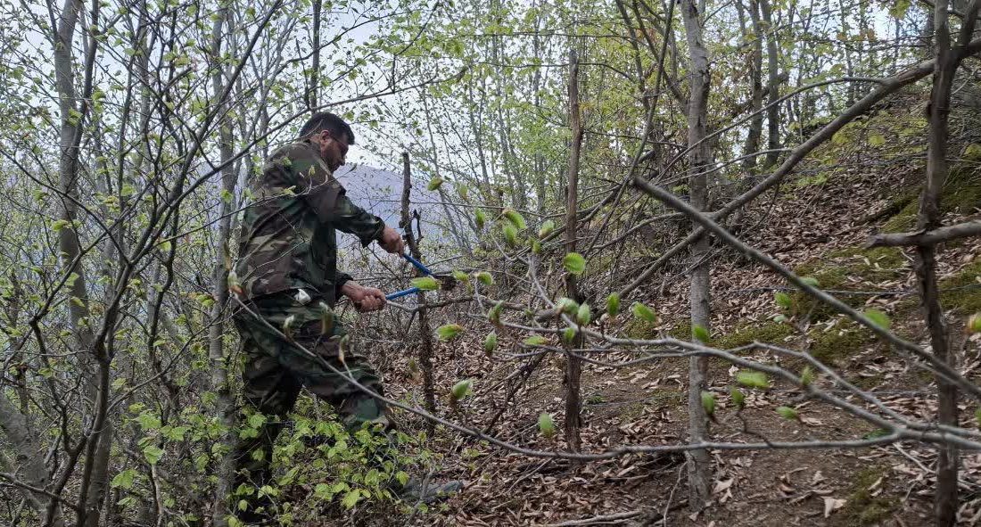 رفع تصرف۳۰۰۷۰ مترمربع از اراضی ملی رحیم آباد