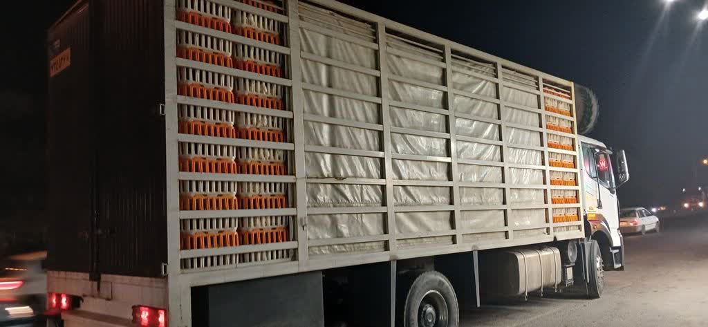 توقيف ۴ تن مرغ زنده فاقدمجوز حمل در رودبار