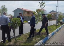 “آبادانی سنگر با دستان سبز شهردار؛ از درختکاری تا آسفالت خیابان‌ها”