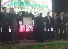 برگزاری چهارمین جشنواره آلوچه شاقاجی در رشت با چاشنی رونمایی ثبت ملی ؛ فرصتی برای رونق باغات و جذب گردشگر