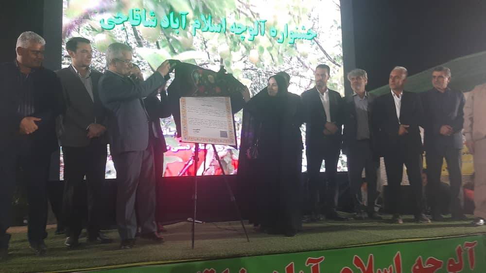 برگزاری چهارمین جشنواره آلوچه شاقاجی در رشت با چاشنی رونمایی ثبت ملی ؛ فرصتی برای رونق باغات و جذب گردشگر