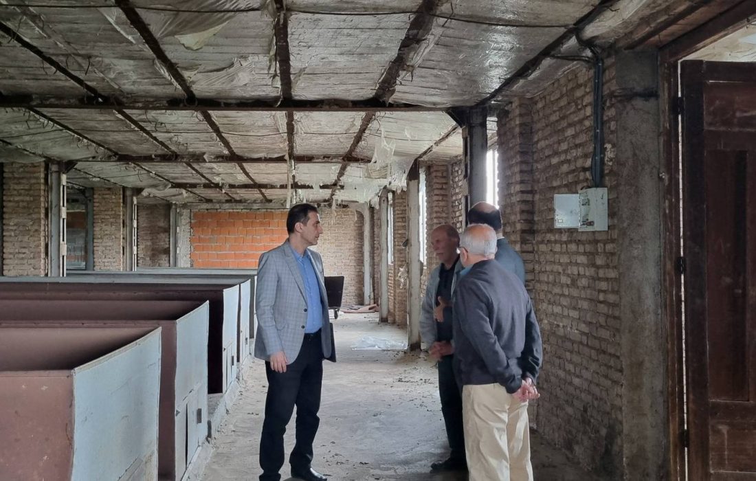 توسط مدیریت اداره نظارت بر مواد غذایی و بهداشتی؛ بازدید از کارخانه‌های چای استان همزمان با آغاز برداشت برگ سبز