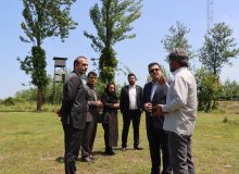 تقدیر از محیط‌بانان پارك ملی بوجاق در راستای مسئولیت‌های اجتماعی منطقه آزاد انزلی