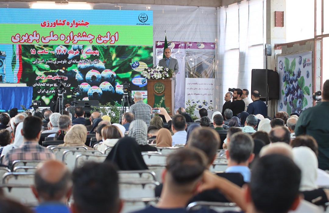 استاندار گیلان در اولین جشنواره ملی بلوبری تاکید کرد:  ظرفیت‌های اقلیمی گیلان، بستری مناسب برای توسعه کشاورزی دانش‌بنیان