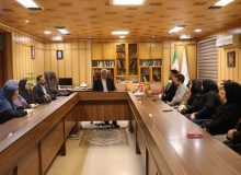 فرماندار شهرستان رشت:  کار برای کودک و نوجوان سرمایه‌گذاری است