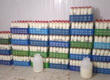 کشف و توقیف ۳۰۰۰ لیتر دوغ سنتی غیربهداشتی در رشت